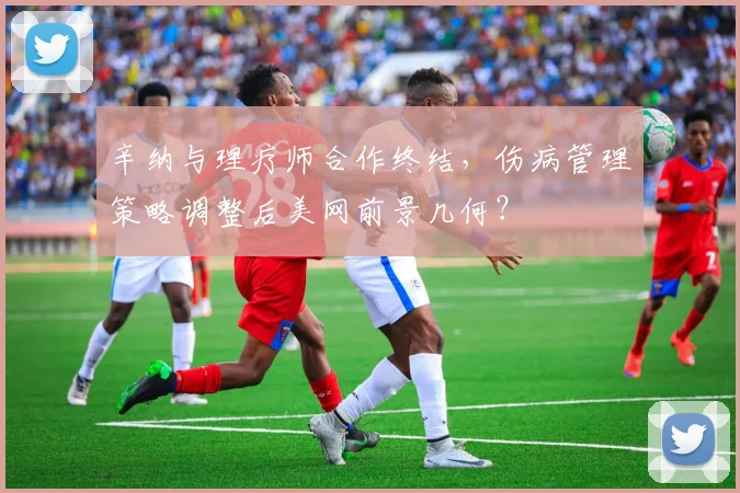 辛纳与理疗师合作终结,伤病管理策略调整后美网前景几何?